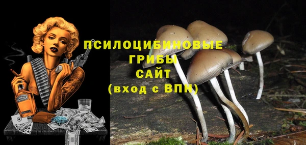 героин Осинники