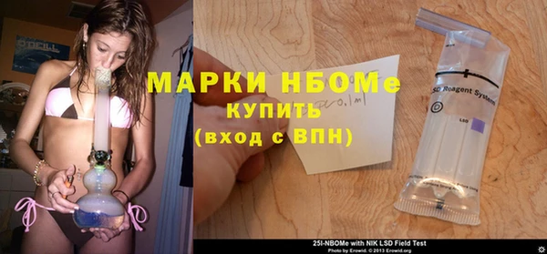 гидропоника Пересвет